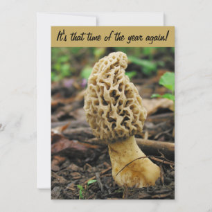 Invitation de chasse de champignon de morelle