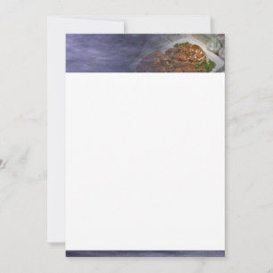 Invitation de côtelettes de porc