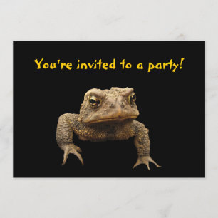 Invitation de crapaud américain