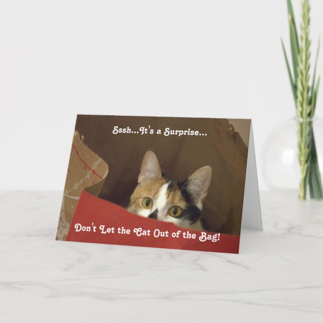 Invitation de fête comportant le chat de calicot (Devant)