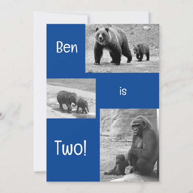 Invitation de fête d'anniversaire au zoo de deux e (Devant)