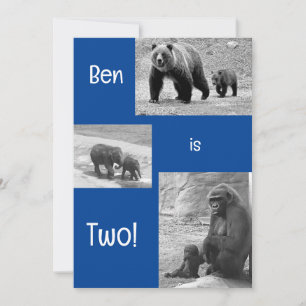 Invitation de fête d'anniversaire au zoo de deux e