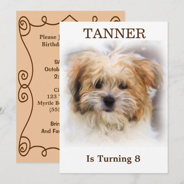 Invitation de fête d'anniversaire pour animaux (Devant / Derrière)