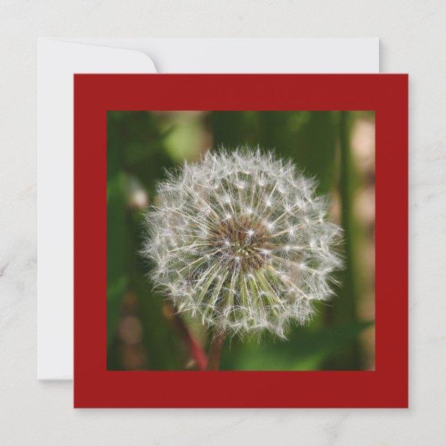 Invitation de fête d'été (Devant)