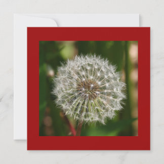 Invitation de fête d'été