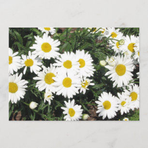Invitation de fleur de marguerite