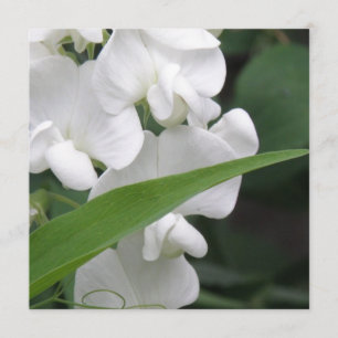 Invitation de fleur de pois doux