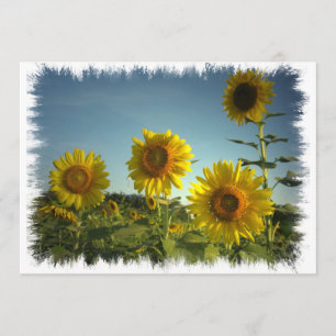 Invitation de jardinage organique