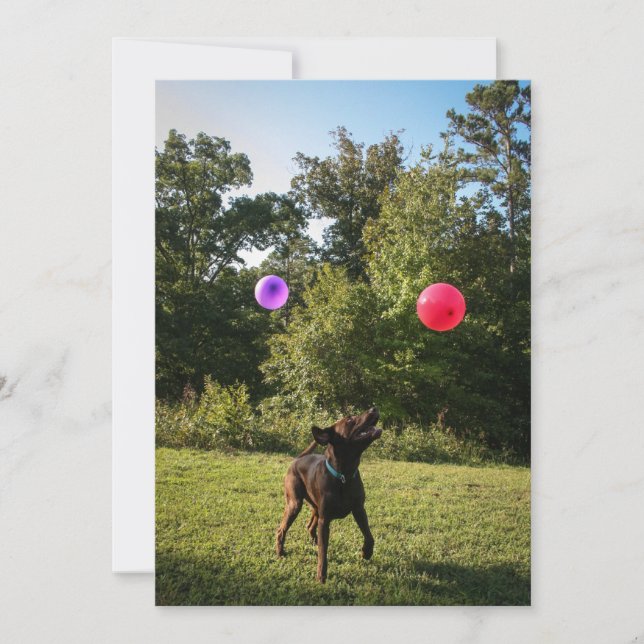 Invitation de la fête du laboratoire de chocolat (Devant)