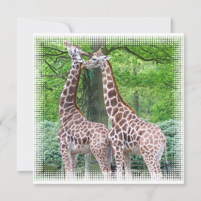 Invitation de la paire de girafes (Devant)