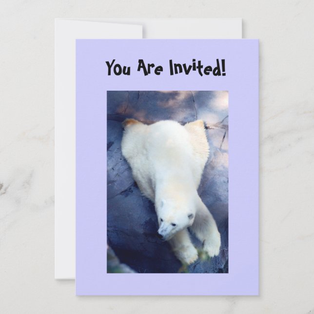 Invitation de la soirée Ours polaire (Devant)