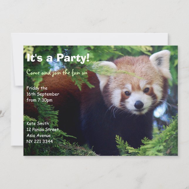 Invitation de partie de panda rouge (Devant)