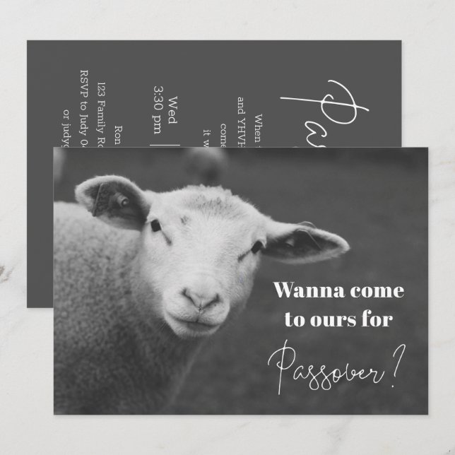 Invitation de Passover amusant (Devant / Derrière)