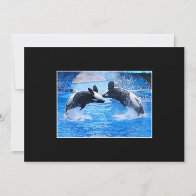 Invitation de photo de baleine (Devant)