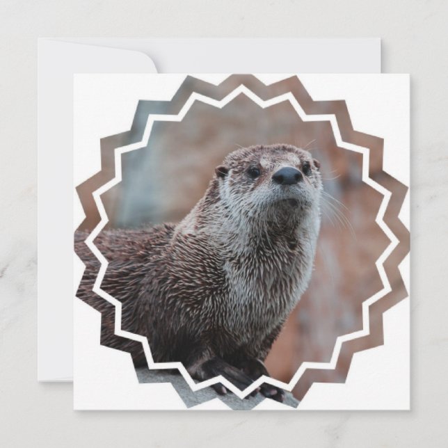 Invitation de photo de loutre (Devant)
