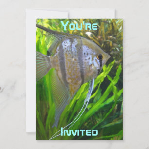 Invitation de poisson ange