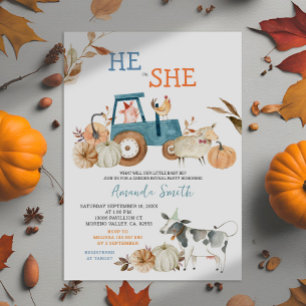 Invitation de révélation du sexe de bébé avec anim