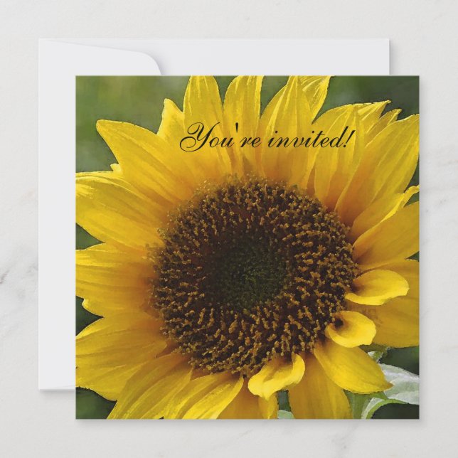 Invitation de tournesol (Devant)