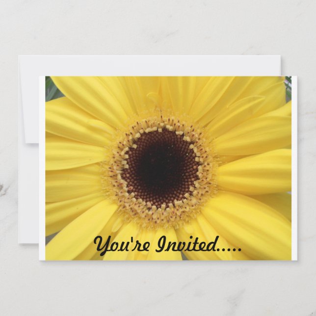 Invitation de tournesol (Devant)