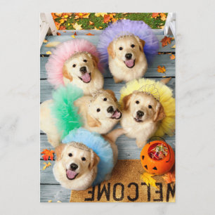 Invitation Des chiots en or ou un traitement