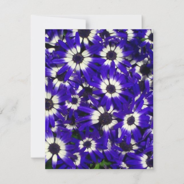 Invitation des fleurs bleues (Devant)