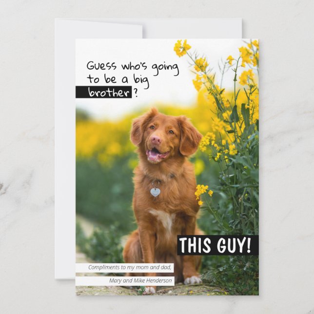 Invitation Devine qui va être un grand frère/soeur ? (Devant)