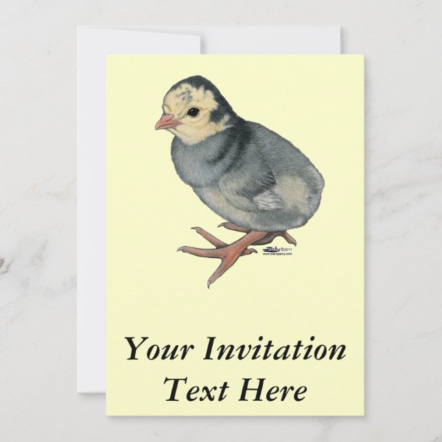 Invitation Dinde Poult Blue Slate (Devant)