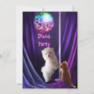 Invitation Disco Fête Chien Chat Maltais Chiot