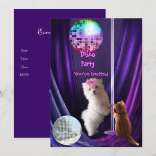 Invitation Disco Party Chien Chat Maltais Chiot
