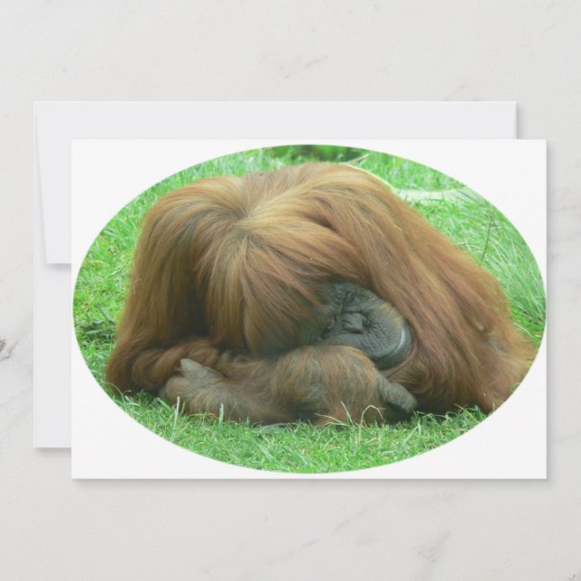 Invitation d'orang-outan (Devant)