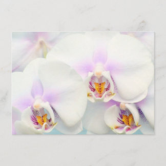 Invitation d'orchidées blanches