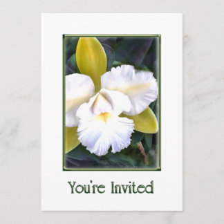 Invitation d'orchidées de cattleya vert et blanc