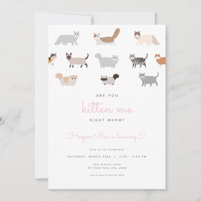 Invitation Drôle Chat Are You Kitten Me Anniversaire Invitati (Devant)