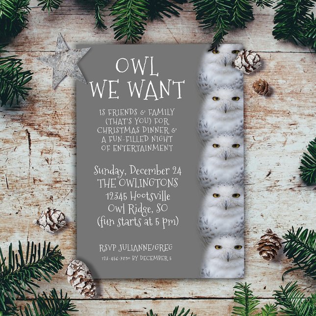 Invitation Drôle Chouette que nous voulons pour Noël ... Chou (Funny Owl We Want for Christmas ... Snowy Owls Invitation Flat Card Cover Photo.)