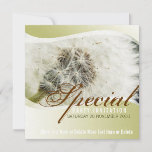 Invitation du Dandelion Special Party