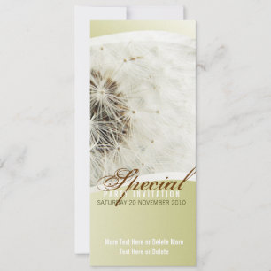 Invitation du Dandelion Special Party