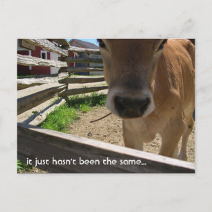 Invitation du Groupe Jeunesse