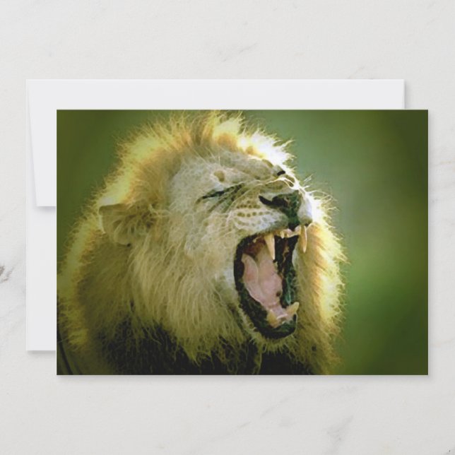 Invitation du lion rugissant (Devant)