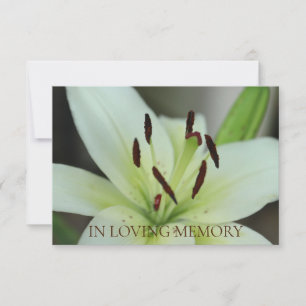 Invitation du service commémoratif In Love Memory