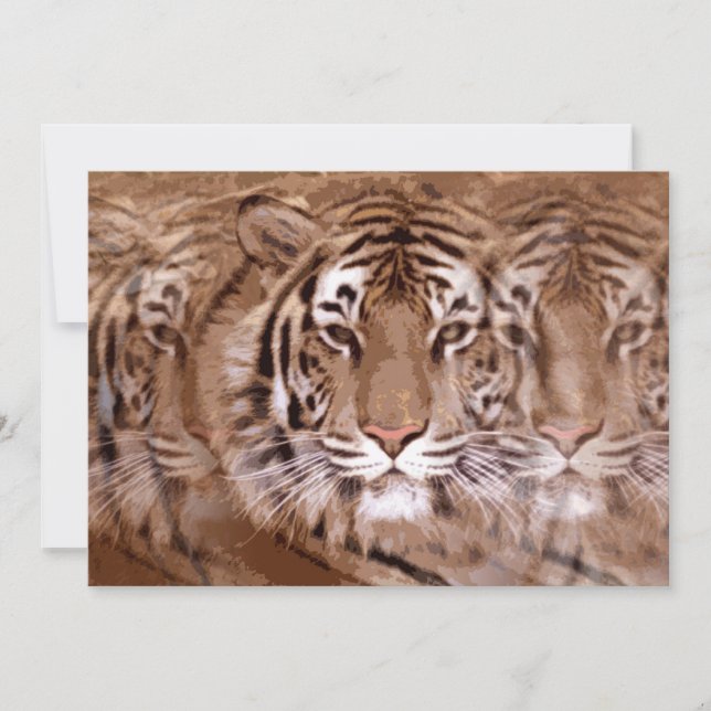 Invitation du tigre (Devant)