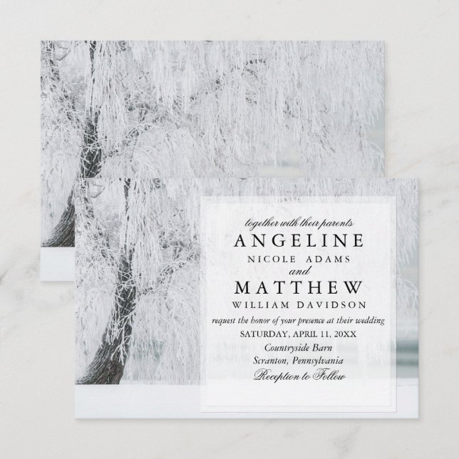Invitation Élégant mariage des flocons de neige de Winter Won (Devant / Derrière)