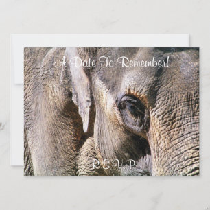 INVITATION ÉLÉPHANT