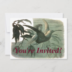 Invitation Elf Fairies Elves Lune Scène nocturne Oiseau Volan