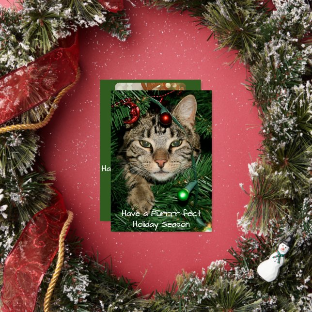 Invitation En Aluminium Cat Christmas Tree Perfect Holiday Card (Insitu)