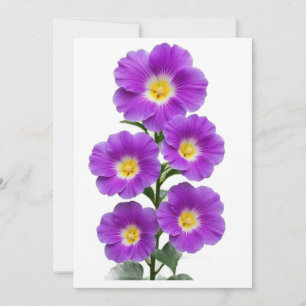 Invitation Enveloppes blanches vierges