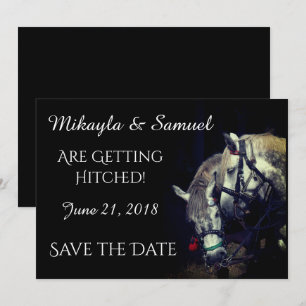 Invitation Équipe de Chevaux "On se fait piquer !"