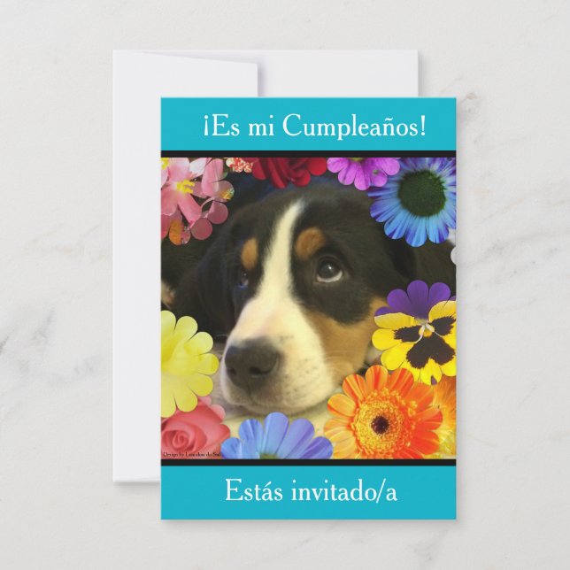 Invitation Espagnol : Fiesta de cumpleaños - Invitación (Devant)