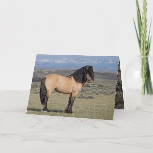 Invitation "Fallen Star in Front of the Wind River Mountains" (Devant)