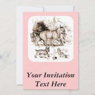 Invitation Famille Bobcat