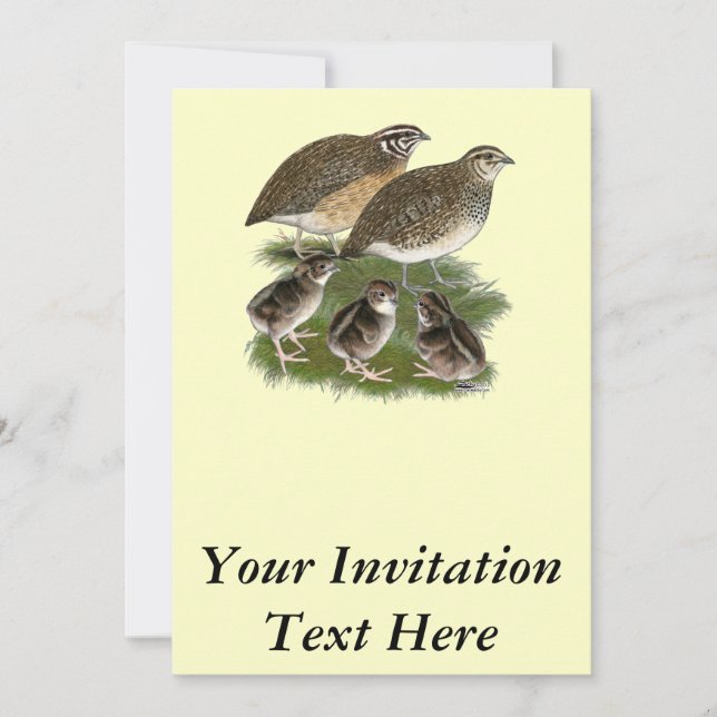 Invitation Famille de cailles de Coturnix (Devant)